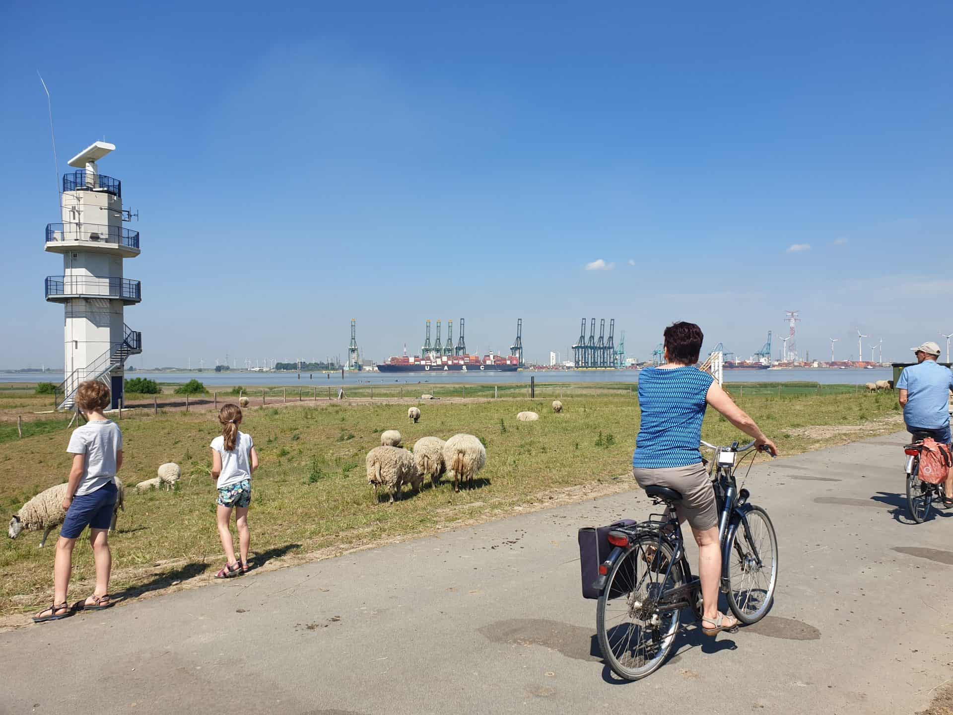 radartoren-Doel-1